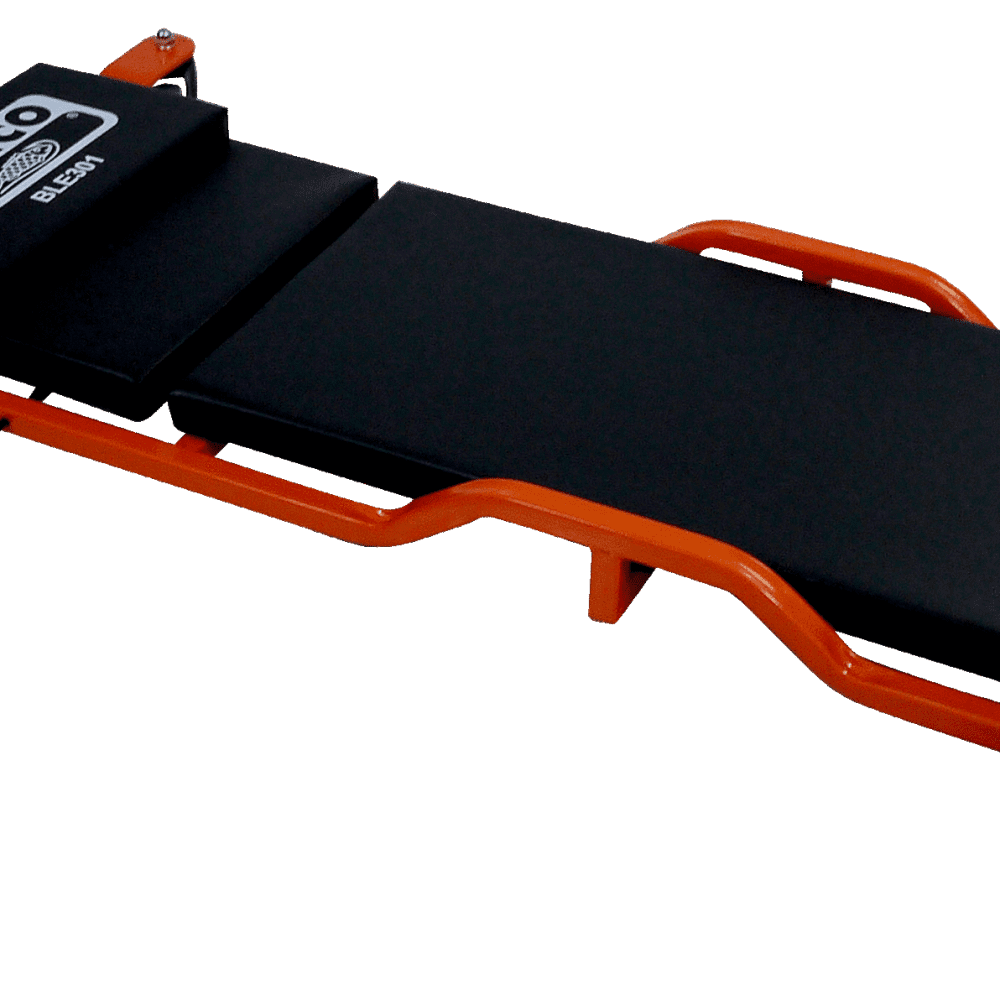 BLE301